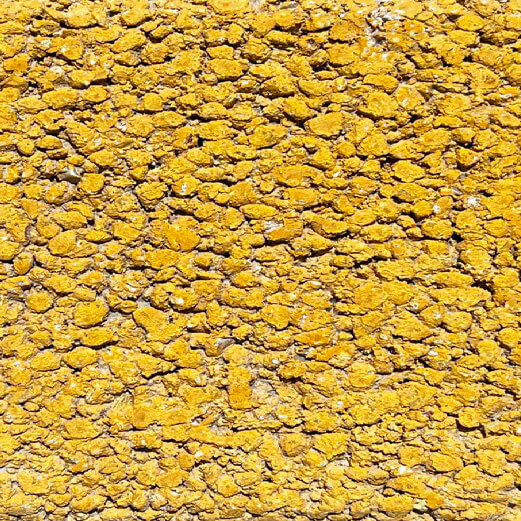 product color rough yellow